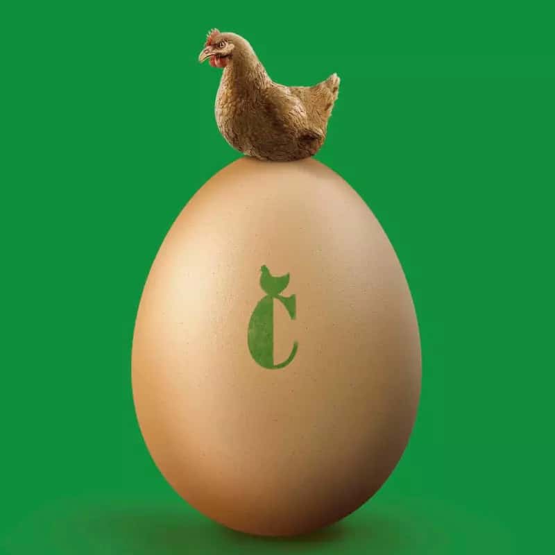 HUEVOS LA CALERA